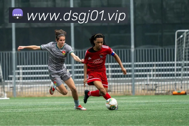 东升国际平台生态图